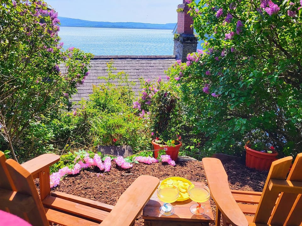Suntrap roof level garden, very private, brilliant for relaxing, tanning, reading a book, birdwatching, stargazing, or just enjoying the view and tranquility.