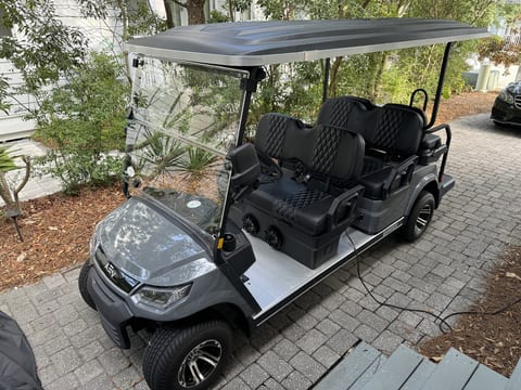 6 seater golf cart