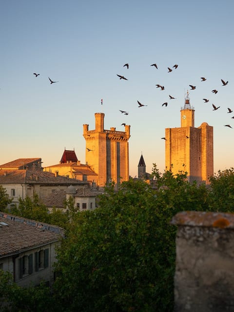 Uzès, Place aux Herbes Penthouse 360 city rooftop image 4