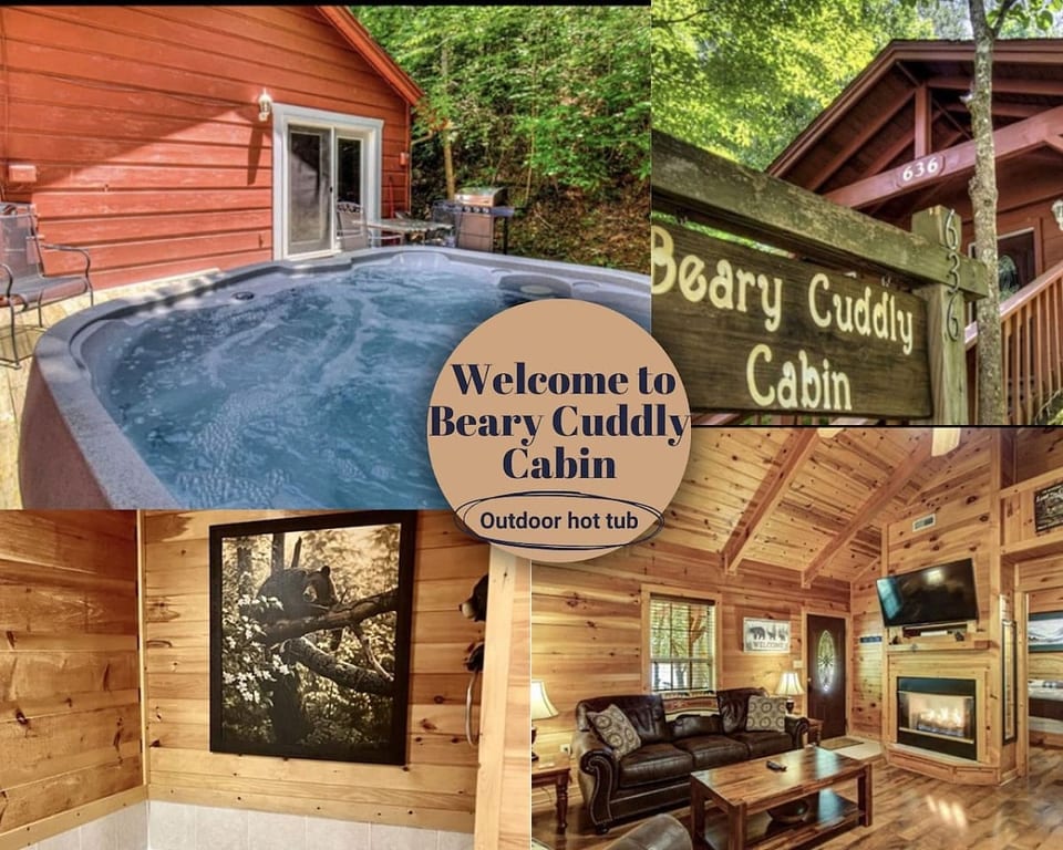 Beary Cuddly - Gatlinburg