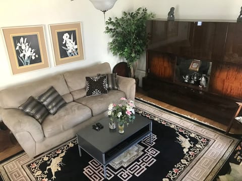 Cozy living room