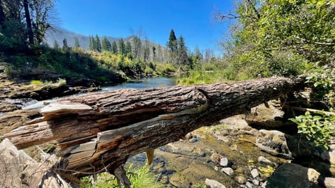 Pet-Friendly Budget King Room with River Access | Shared Bath