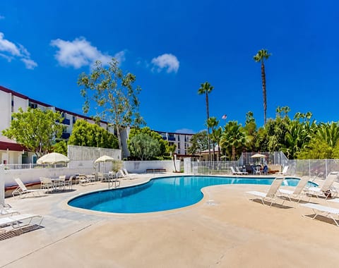 Sunny resort-style pool with loungers, palm trees, and relaxing seating