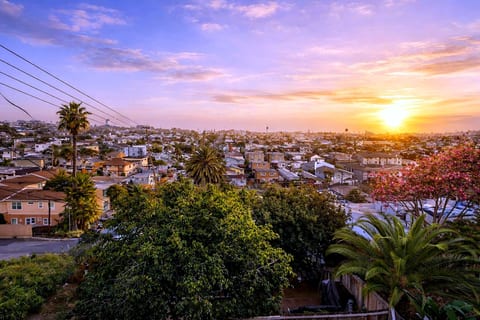 Panoramic sunset cityscape with palms from a hillside retreat