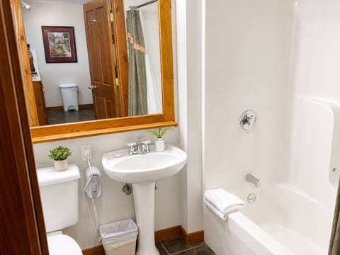 Full-sized bathroom