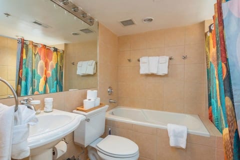 Bathroom sink, toilet, and soaking garden tub