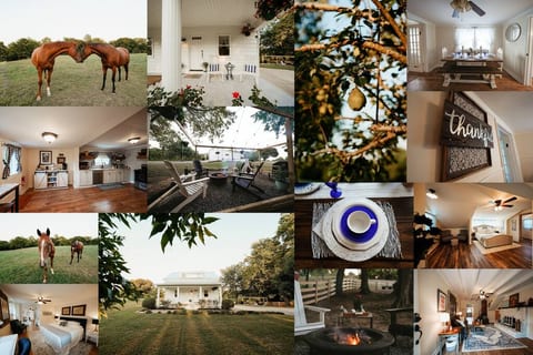 All Around The Phoenix House, 122 Year Old Farmhouse, presented by Tennessee Destination Farms...come stay with us and enjoy this peaceful oasis.....