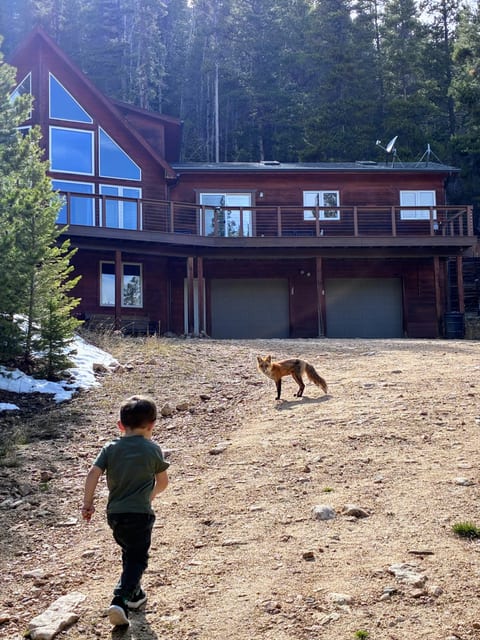 Gold Hill Tree Farm Cabin Near Boulder, CO
