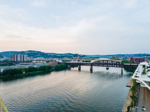 Scenic riverfront views with bridges and a glowing city skyline
