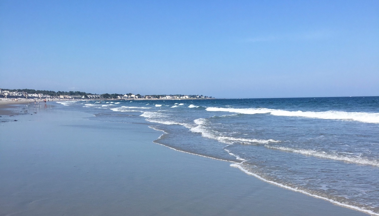 Beautiful North Beach, just a 2- 3 minute walk from the house Beautiful North Beach, just a 2- 3 minute walk from the house - The Beach House - Hampton
