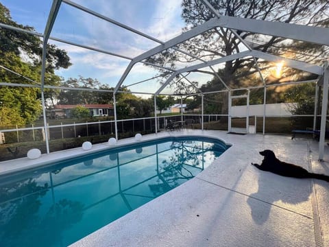 Pool, patio