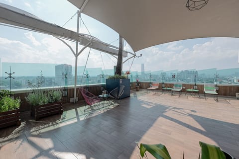 Roof garden