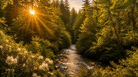 Are you ready to fish or tube down Ellijay River?