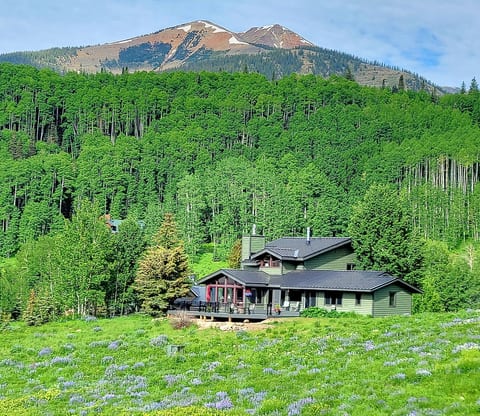 View House ~ Great Views, HotTub, mins to ski/town