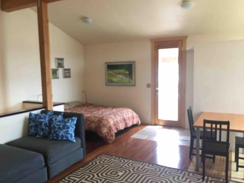 Sunlit Studio Apartment