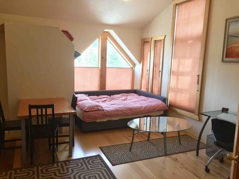 Sunlit Studio Apartment