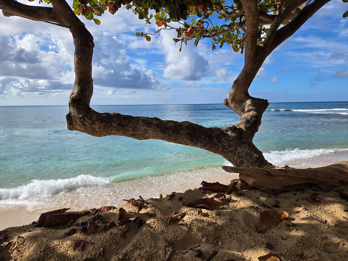 Flip Flop Hideaway Private Beachfront Surf Estate - Waianae