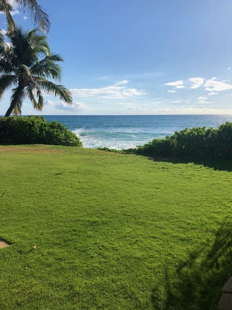 Large backyard. Walk from the back yard onto beautiful Makaha Beach. Great place to snorkle, swim, surf, or scuba. Enjoy seeing whales from our yard November through April.