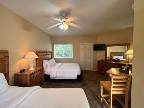 Studio Villa 8229
