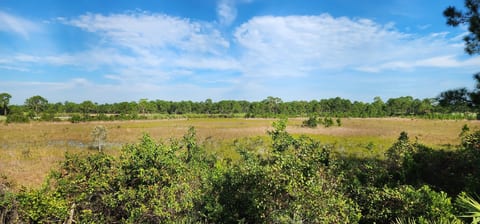 Peaceful outdoor view from the balcony overlooking green space and natural surroundings.