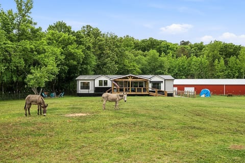 Modern farmhouse on pasture with donkeys, deck, fire pit, and barn views