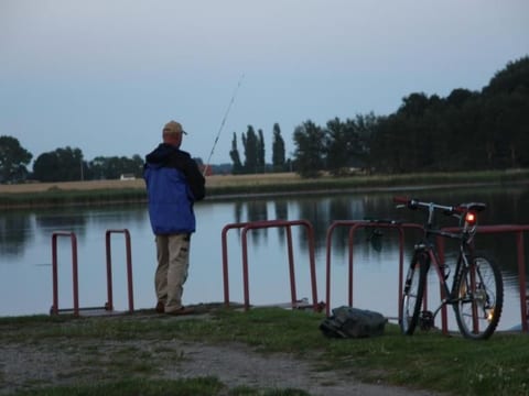 Möwe in Ummanz-Lüßvitz
