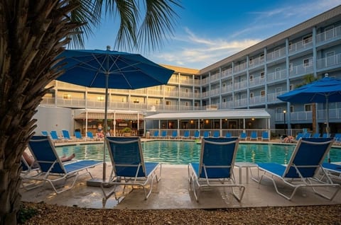 Soak up the sun at the seasonally heated outdoor pool in Building 1 at Hilton Head Resort, located right next to The Beach Bear pool bar. It is the perfect spot to grab a bite or a cold drink after a swim!