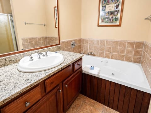 Master bathroom with jet tub
