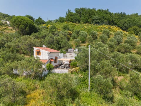 Casa Nueva