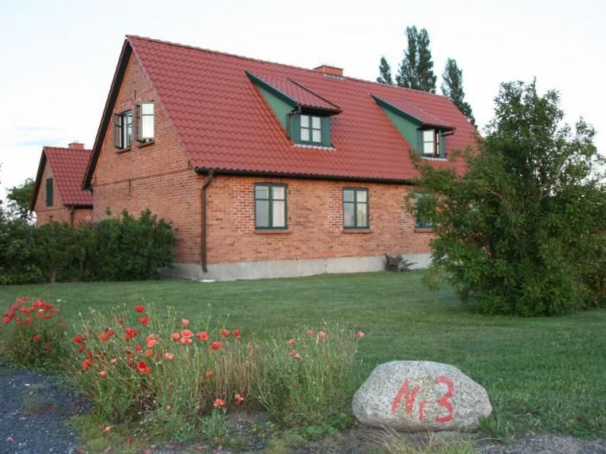 Gans in Ummanz-Lüßvitz