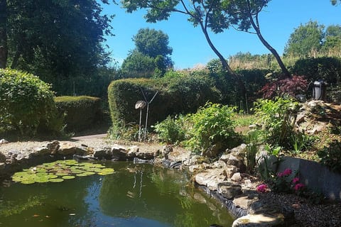 Wellington Farm pond