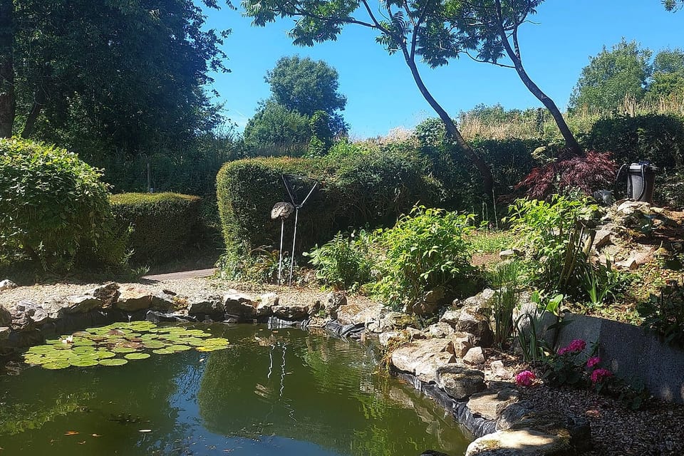 Wellington Farm pond