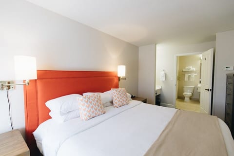 Ashland 1 BR King Suite w/Gym & pool