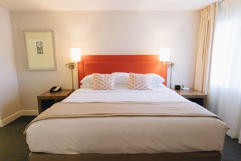 Ashland 1 BR King Suite w/Gym & pool