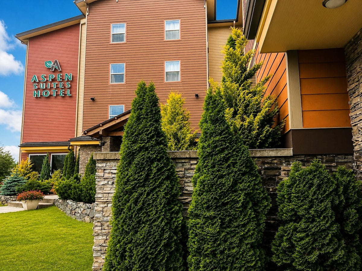 Aspen Suites Hotel Sitka Single Queen Studio image 1