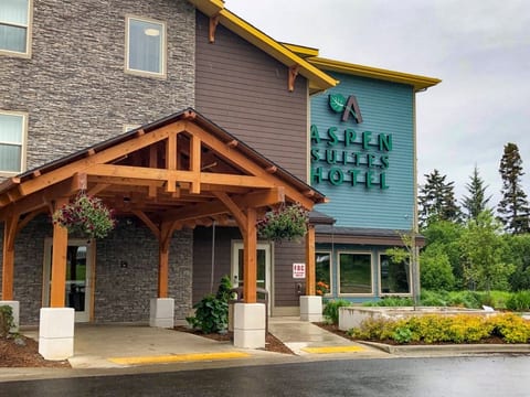 Aspen Suites Hotel Homer Queen Studio image 1
