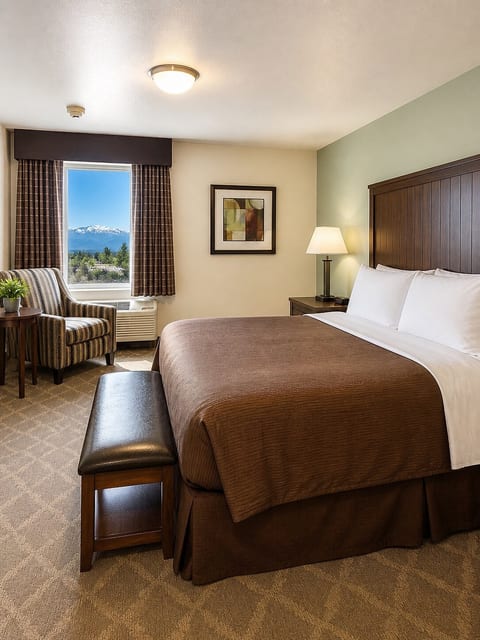 Aspen Suites Hotel Homer Queen Studio image 3
