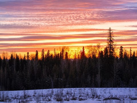 Aspen Suites Hotel Soldotna image 4