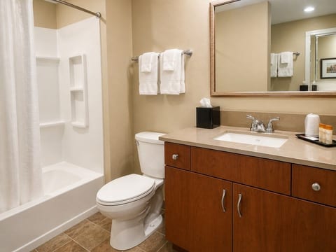 Aviator Suites Juneau 2 Queen Studio image 5