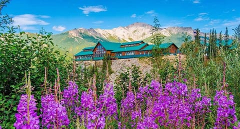 Grand Denali Lodge By Aspen Hotels - 2 Queen Room image 1