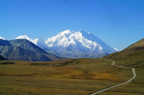 Grand Denali Lodge By Aspen Hotels - King Room image 4