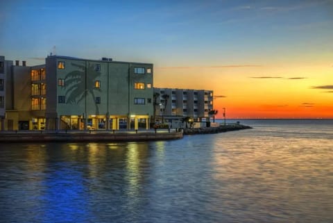 Tampa Bay 1BR Suite with Pool & Beach Access image 3