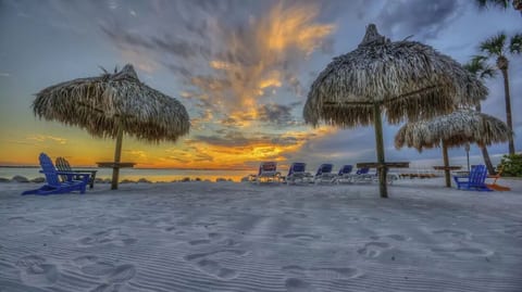 Tampa Bay 1BR Suite with Pool & Beach Access image 5