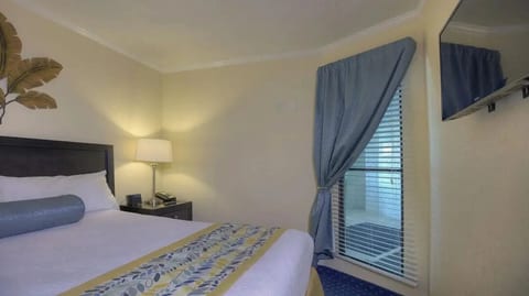 Tampa Bay 1BR Suite with Pool & Beach Access image 2
