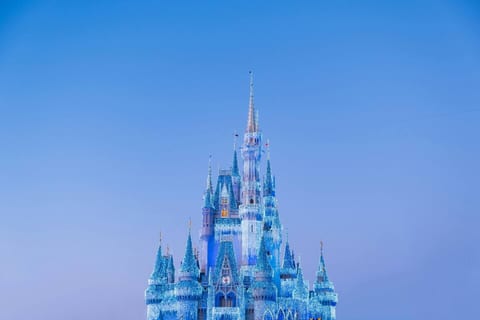 Walt Disney World 30 Miles (45-60 Mins) from Hilltop Oasis