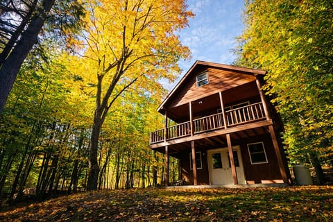 Secluded cabin surrounded by trees with a covered deck and peaceful forest setting.