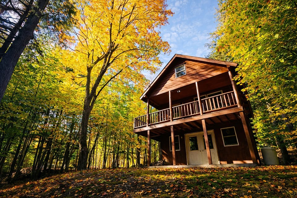 Secluded cabin surrounded by trees with a covered deck and peaceful forest setting.