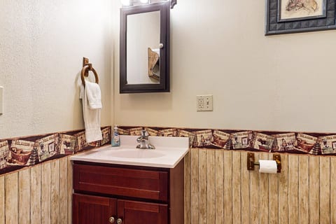 Bathroom with vanity, mirror, and rustic cabin-style décor.