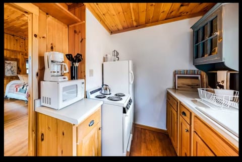 Rustic Cabin