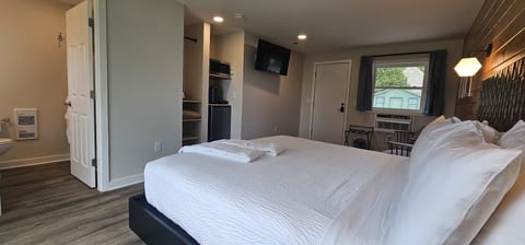 Dog Friendly King Studio